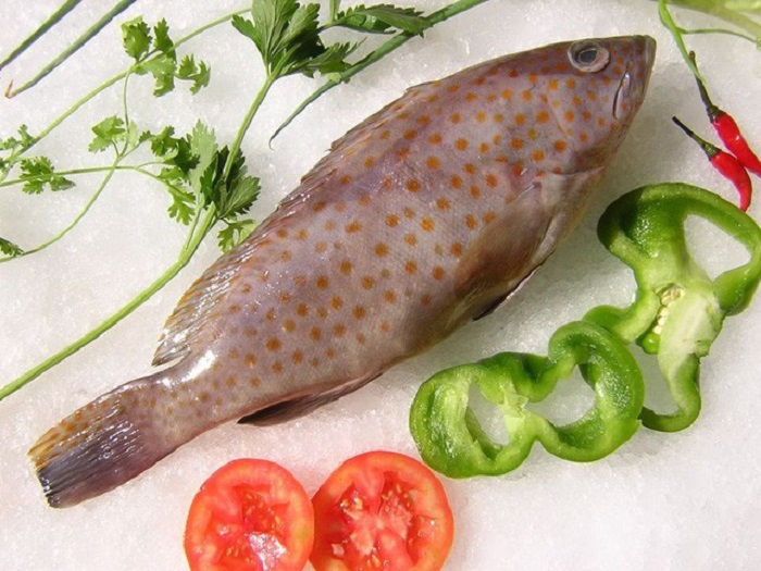 Cá song dùng để nấu canh chua
